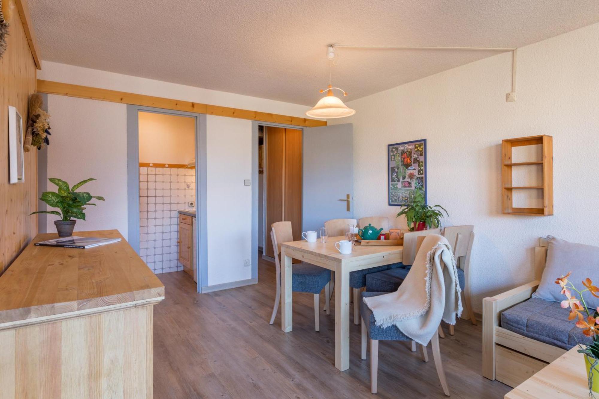 Les Melezes Apartment Saint-Chaffrey Exterior photo